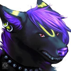 Meet your Posher, Jessie